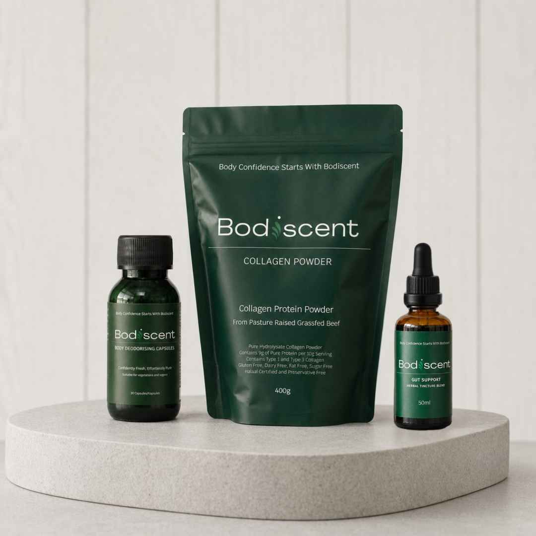 Bundle 8